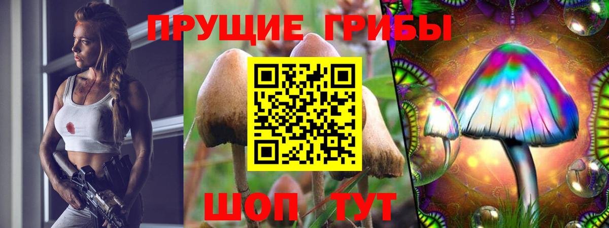 Галлюциногенные грибы GOLDEN TEACHER Воскресенск