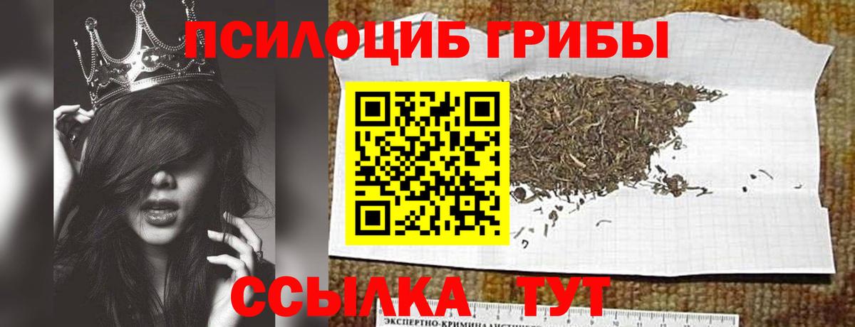 Воскресенск  Галлюциногенные грибы GOLDEN TEACHER  Галлюциногенные грибы прущие грибы  Вход с VPN 